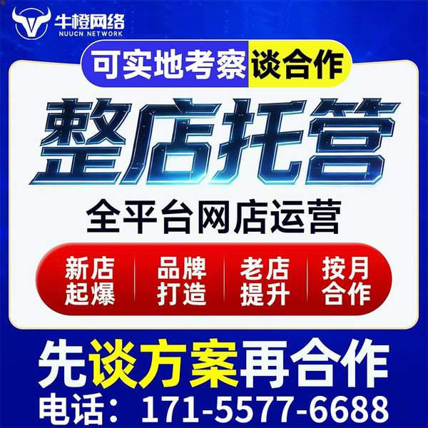 长沙电商代运营