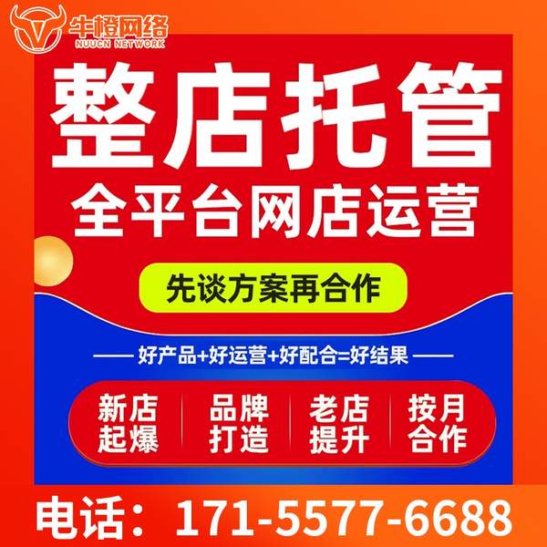 长沙电商代运营